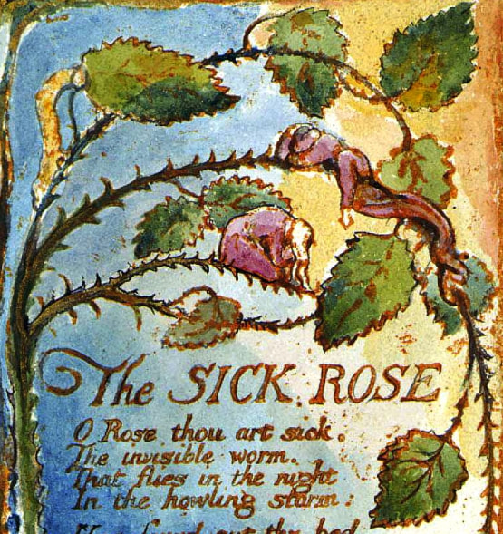 What Does The Worm Symbolize In The Sick Rose Ferqxw